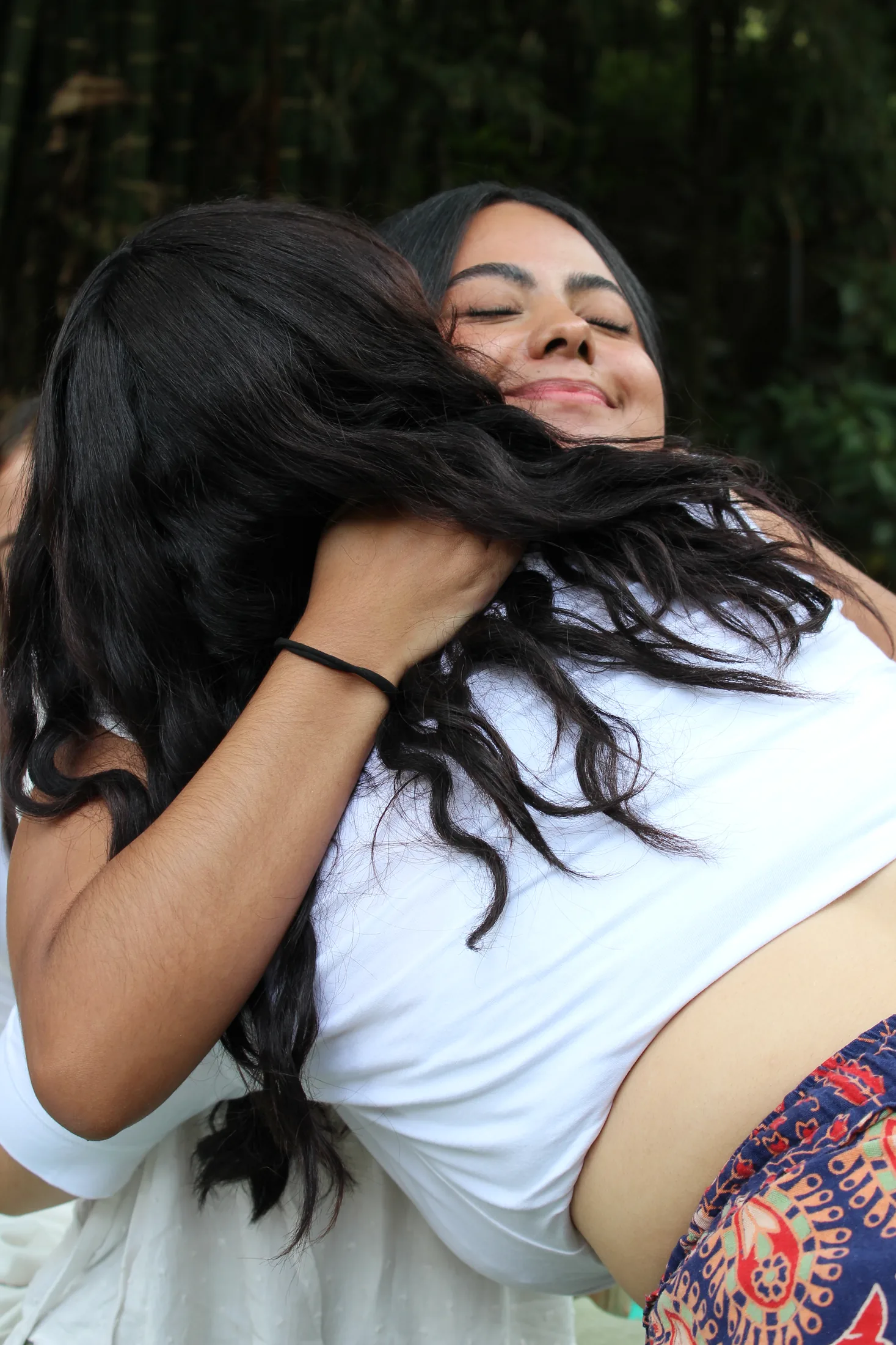 Volver a la Raíz